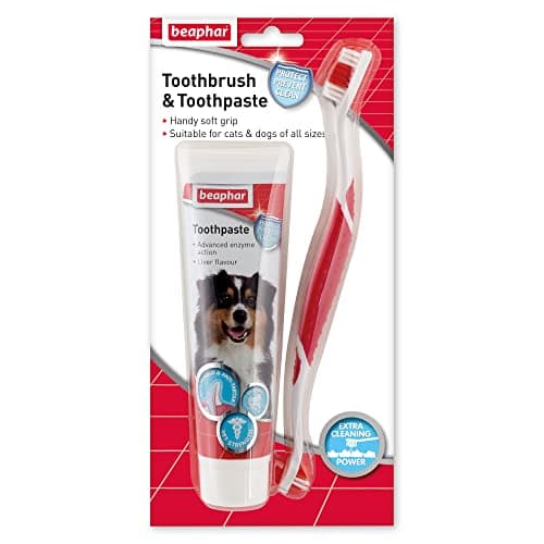 Beaphar Beaphar Toothpaste and Brush Kit